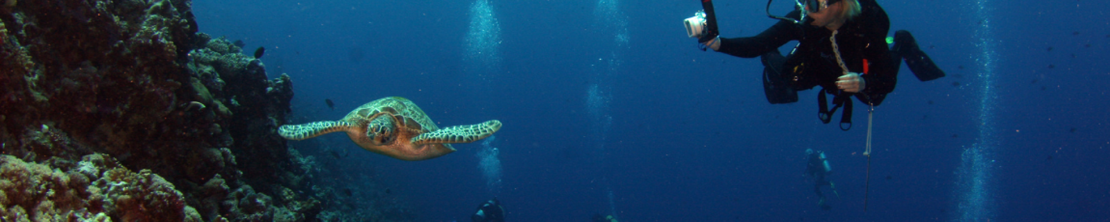 cayman scuba